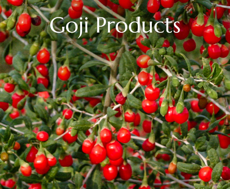 Goji Producs