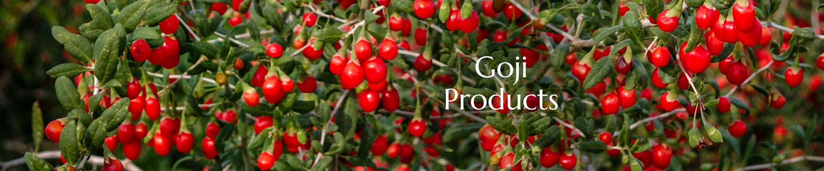 Goji Producs