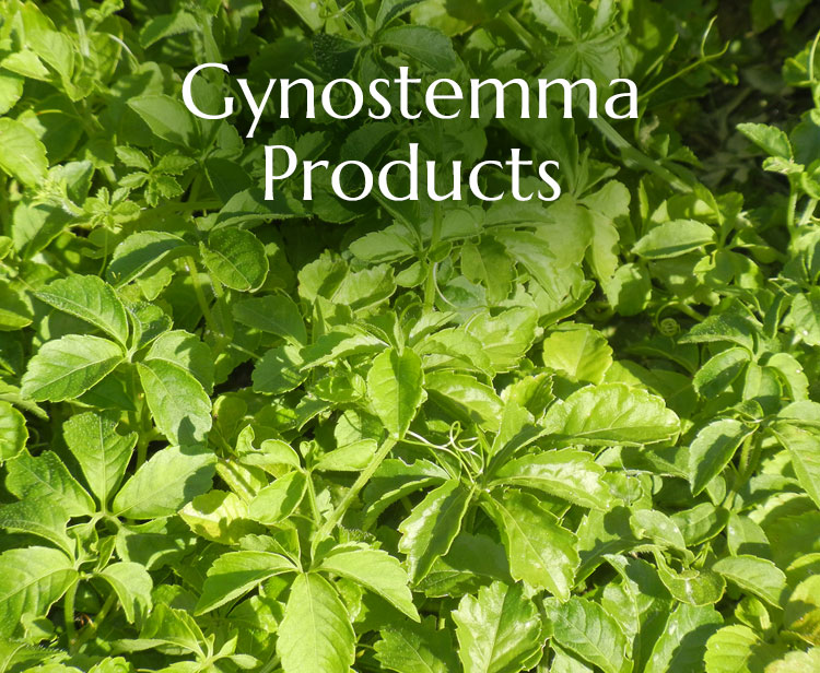 Gynostemma Producs