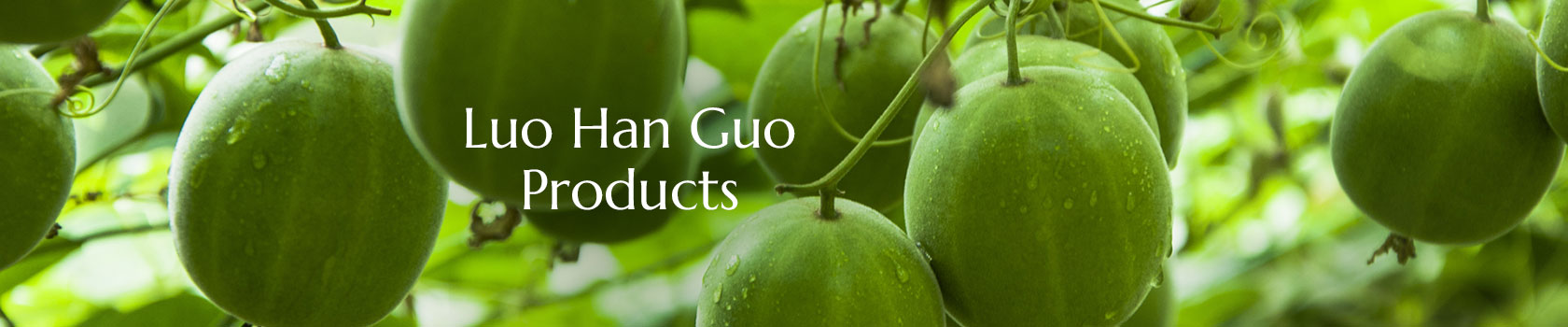Luo Han Guo Producs