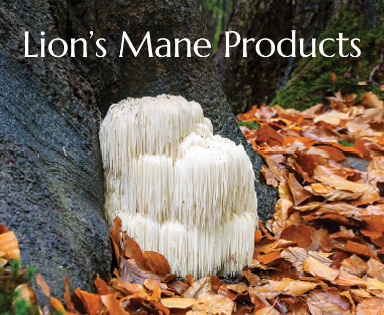 Lion's Mane  Producs