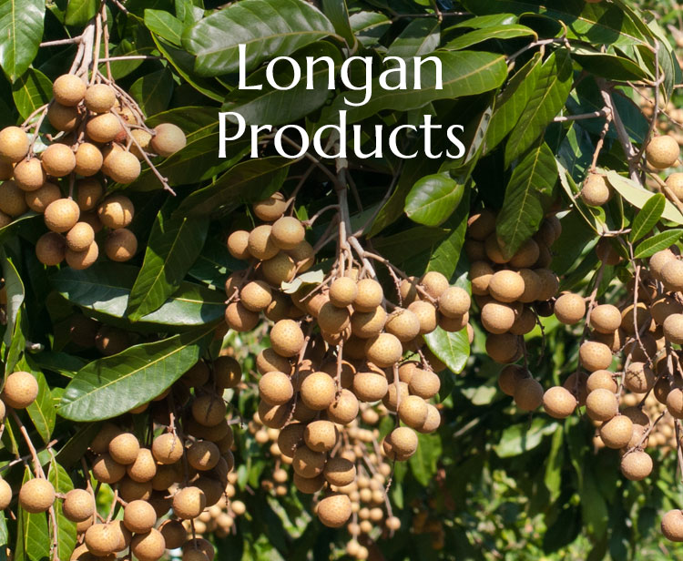Longan Producs
