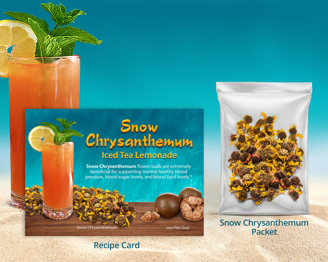 Snow Chrysanthemum Sample with Infocard