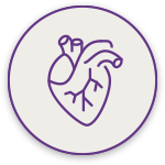 Cardiovascular Support