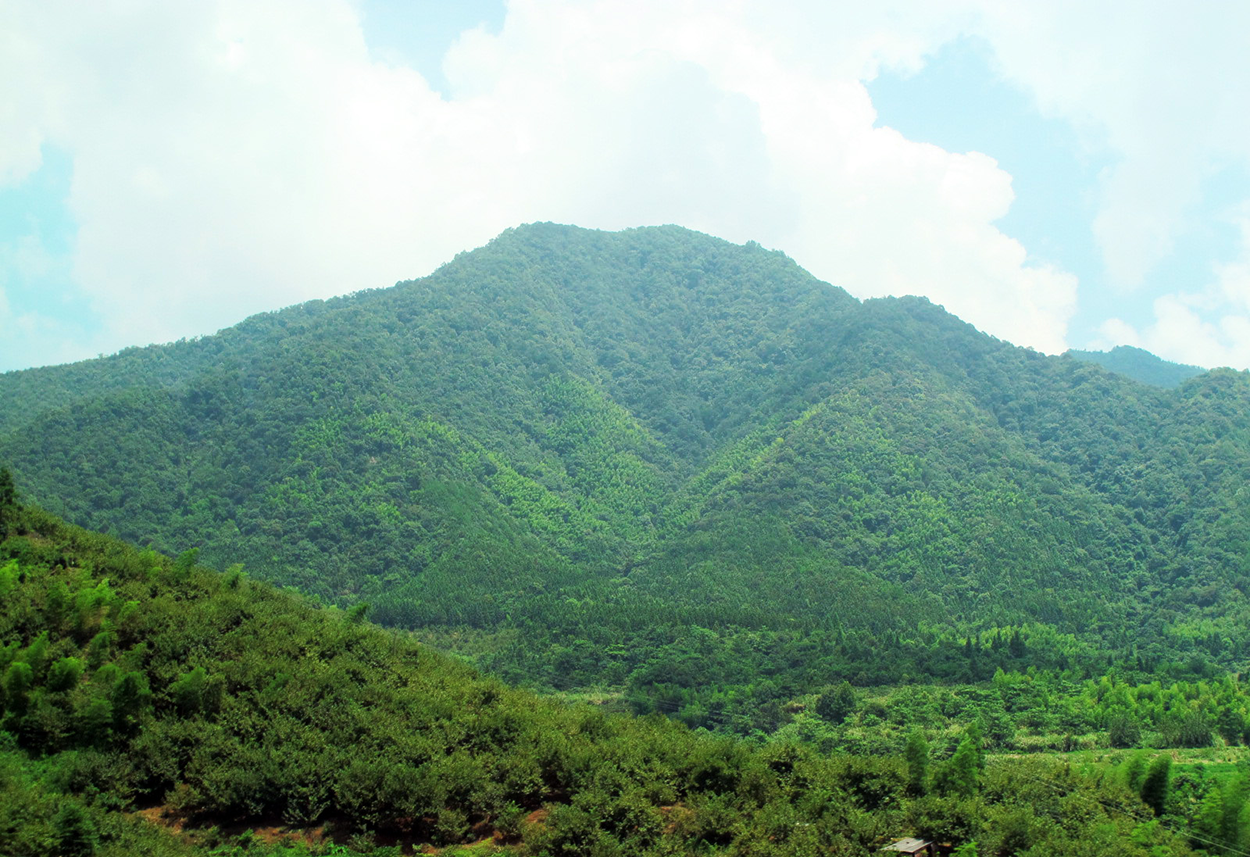 wuyi-mountain