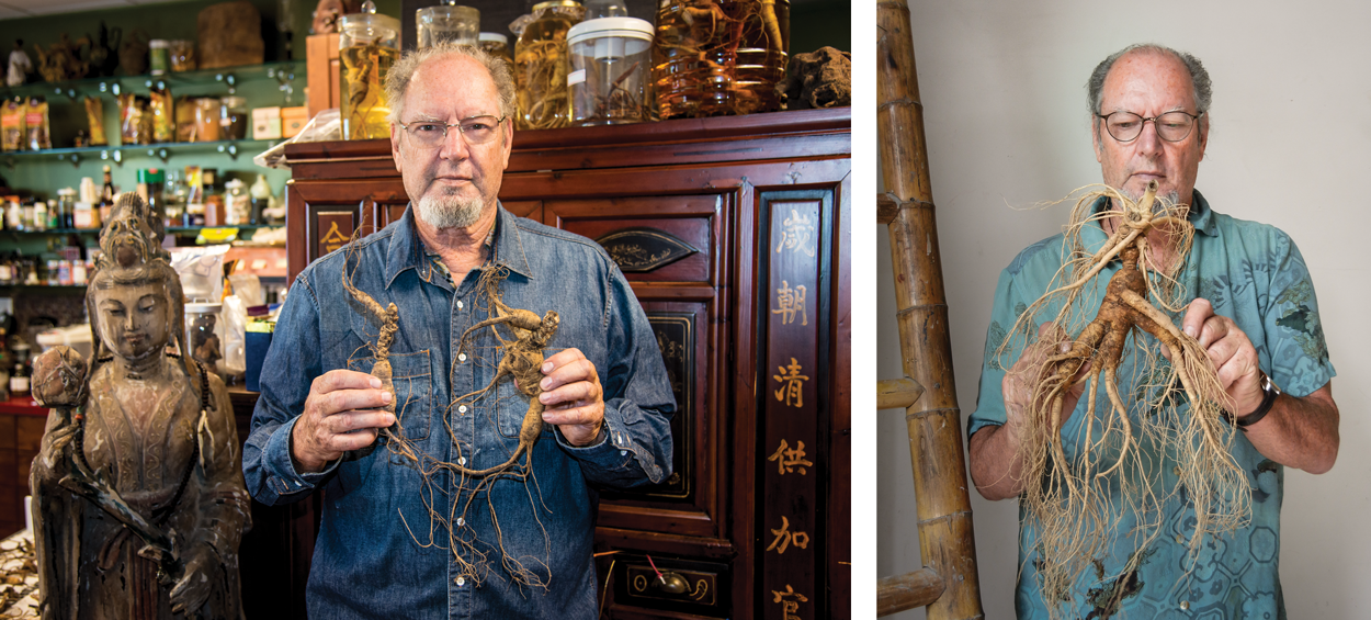 Ron holding up different kinds of wild ginseng