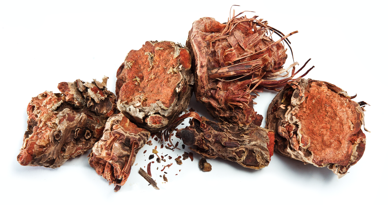 Rhodiola root