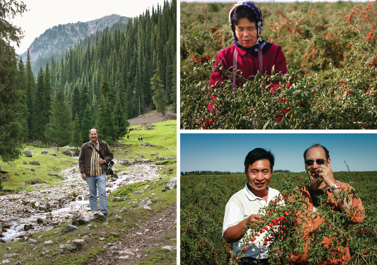 Ron and Goji fields