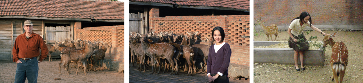 Ron And Yanlin With Deer