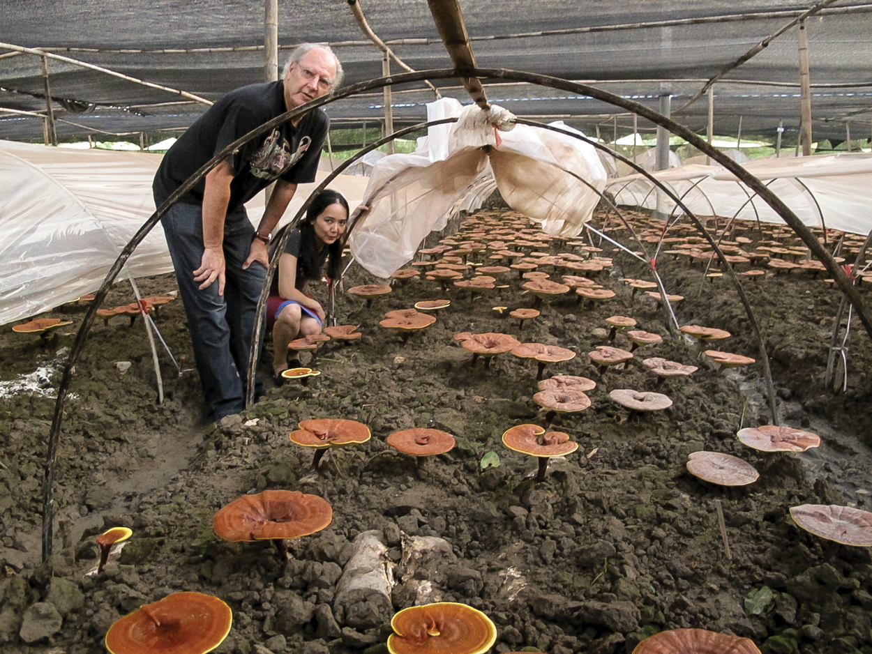 Ron And Yanlin In Organic Duanwood Reishi Tent