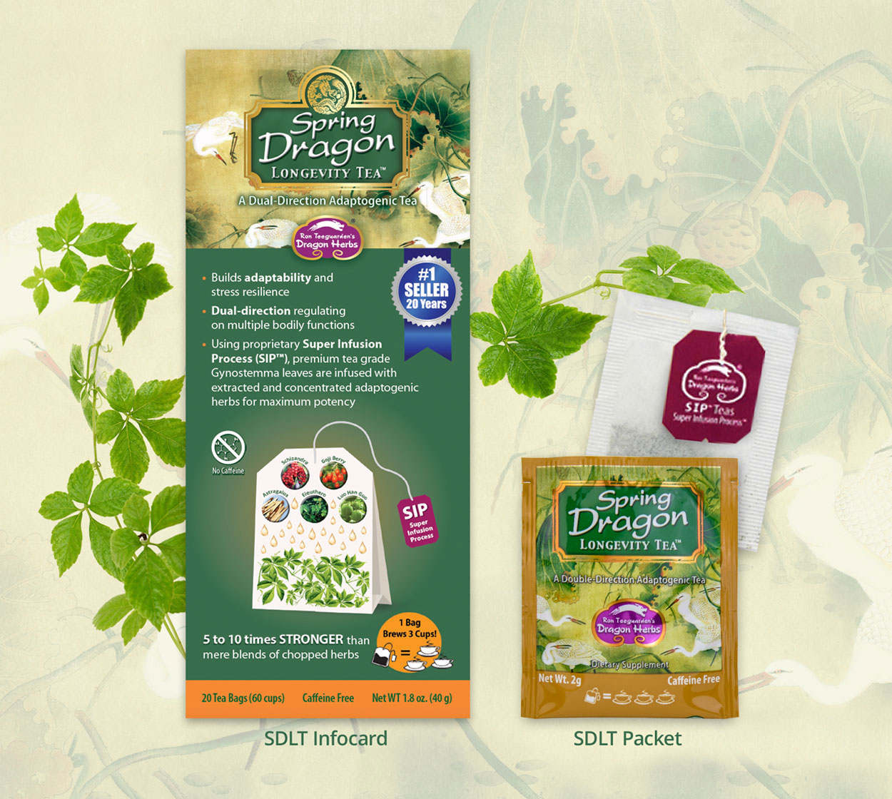 Spring Dragon Longevity Tea Sample with Infocard