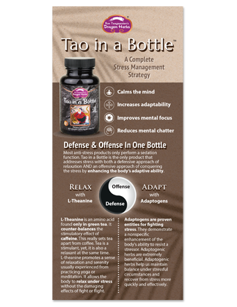 Tao in a Bottle Brochure
