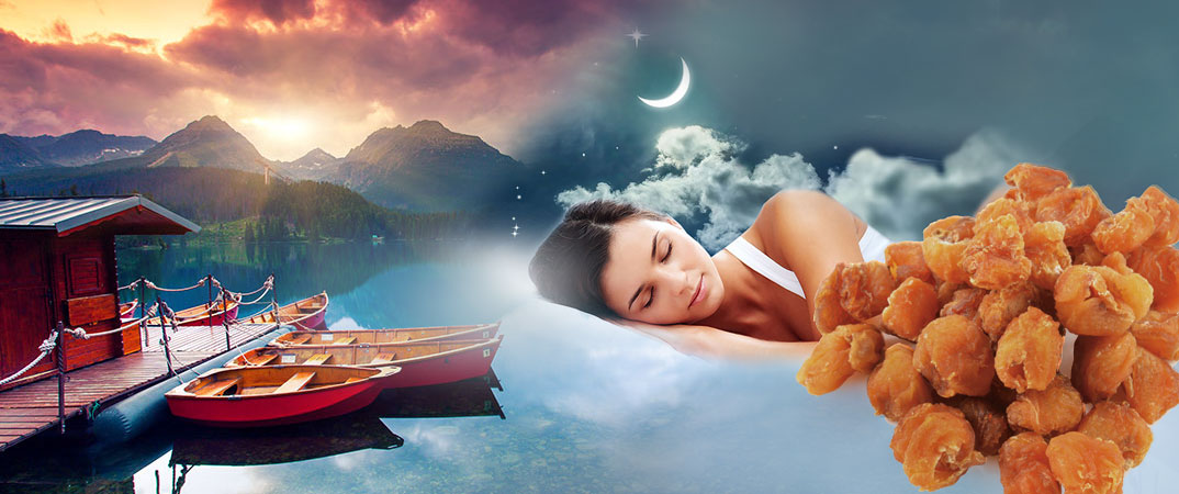 Beauty Sleep