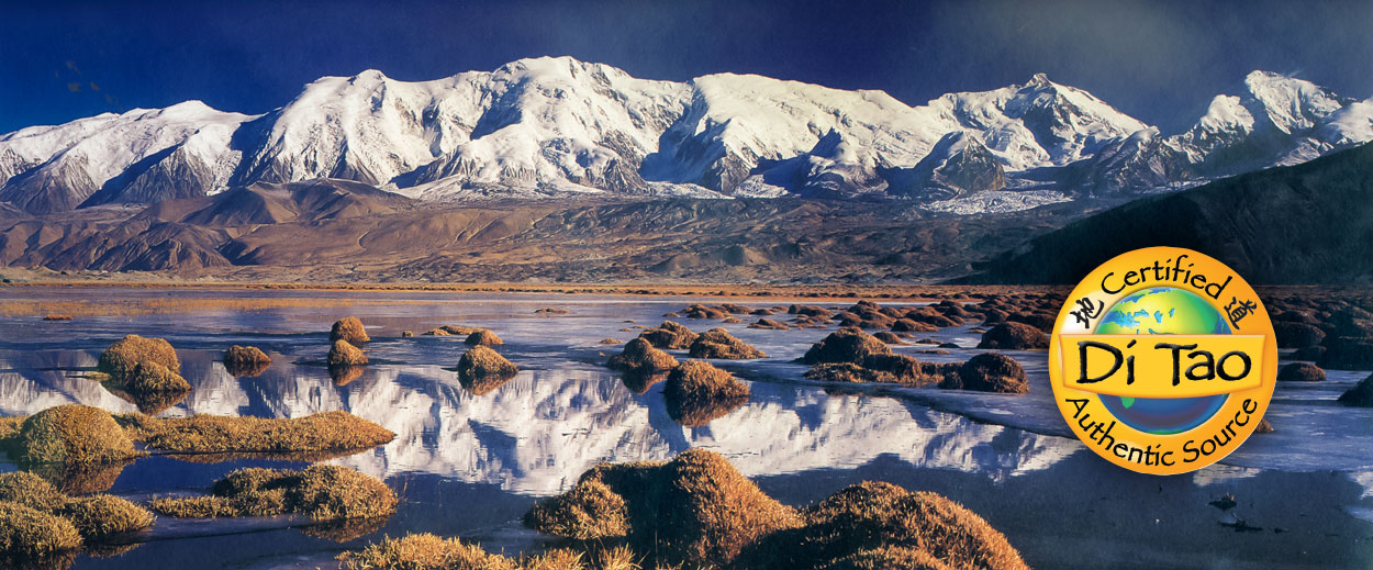 Heaven Mountain Di Tao