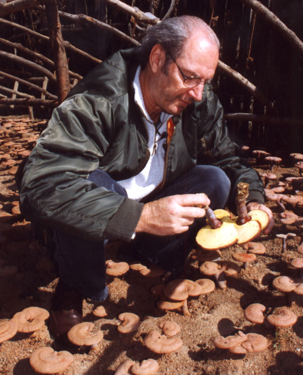 Ron inspecting Duanwood Reishis