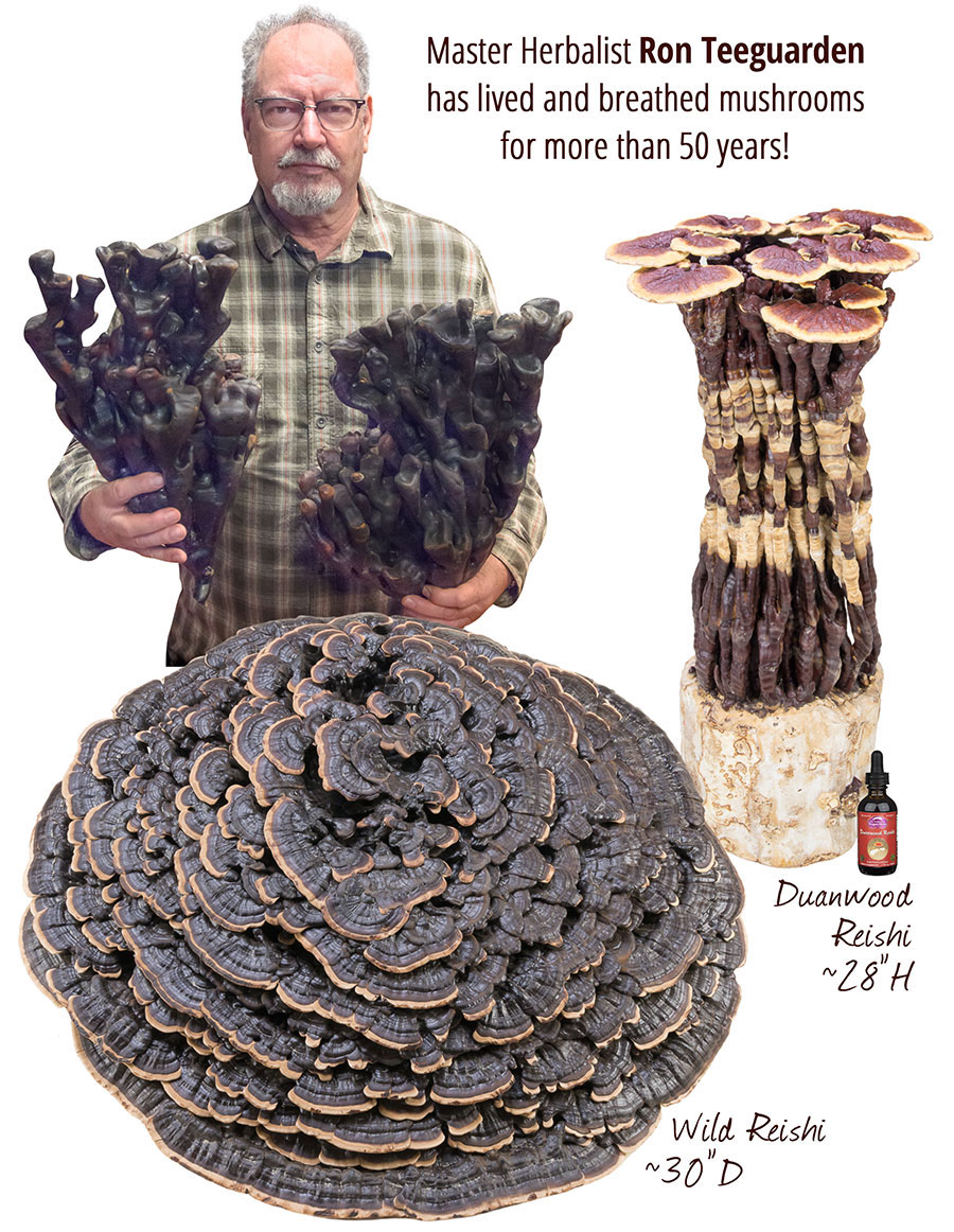 Mushroom Tonic: Unleash the Power Within