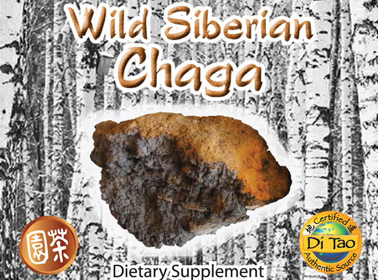 Chaga