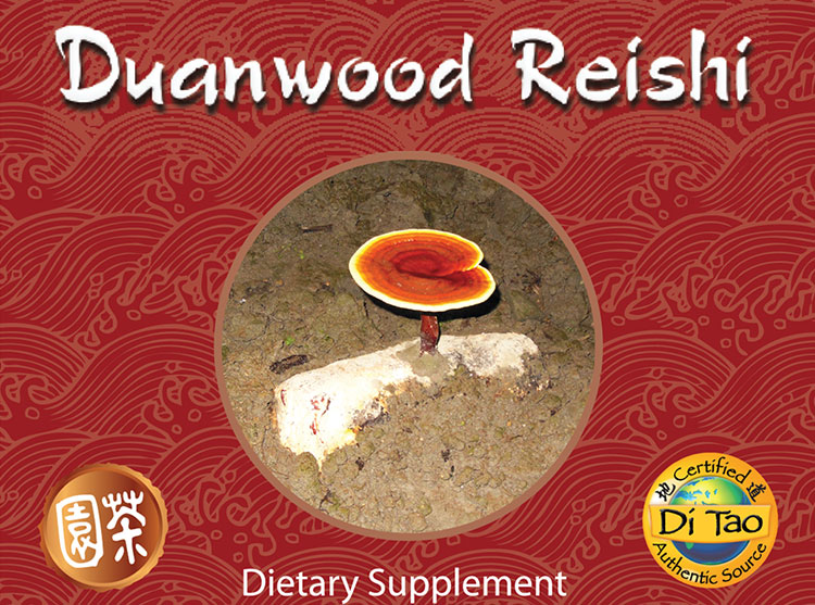 Duanwood Reishi