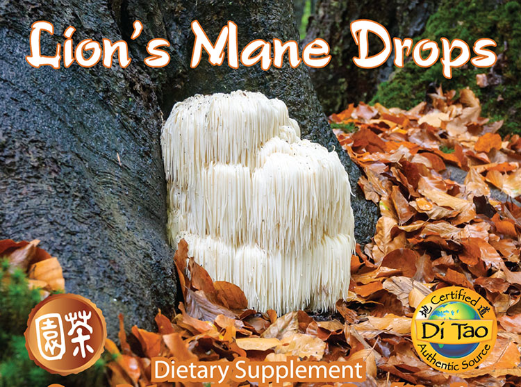 Lion's Mane