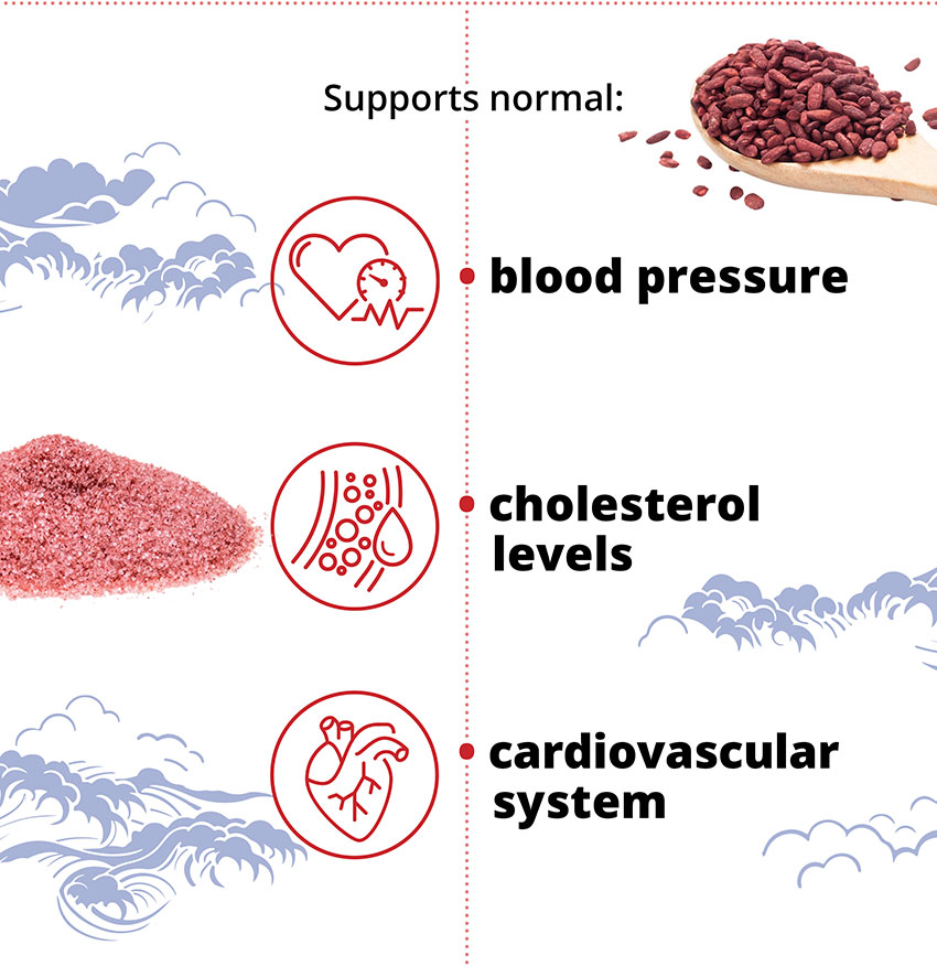 Supports normal cardiovascular system